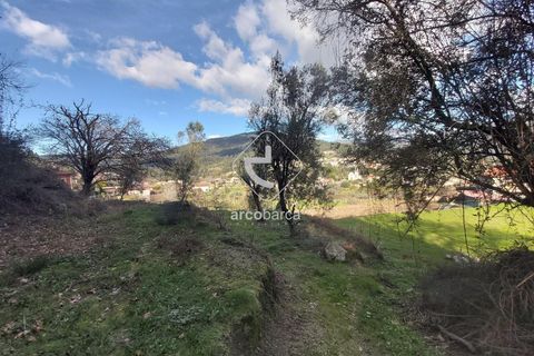 Helårsgrund i Ponte de Lima, Viana do Castelo, Ponte de Lima - € 70.000 | Ref: AV6444 - foto 15