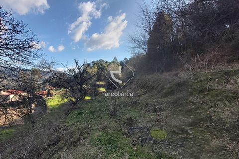 Helårsgrund i Ponte de Lima, Viana do Castelo, Ponte de Lima - € 70.000 | Ref: AV6444 - foto 16
