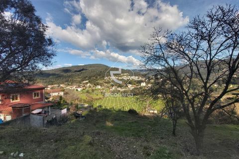Helårsgrund i Ponte de Lima, Viana do Castelo, Ponte de Lima - € 70.000 | Ref: AV6444 - foto 17