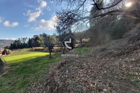 Helårsgrund i Ponte de Lima, Viana do Castelo, Ponte de Lima - € 70.000 | Ref: AV6444 - foto 19