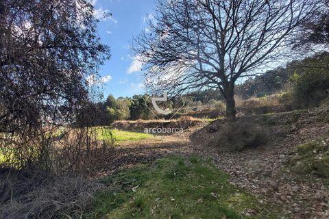 Helårsgrund i Ponte de Lima, Viana do Castelo, Ponte de Lima - € 70.000 | Ref: AV6444 - foto 20