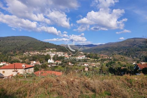 Helårsgrund i Ponte de Lima, Viana do Castelo, Ponte de Lima - € 70.000 | Ref: AV6444 - foto 22