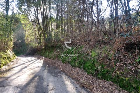 Helårsgrund i Ponte de Lima, Viana do Castelo, Ponte de Lima - € 70.000 | Ref: AV6444 - foto 23