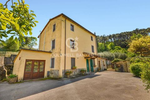 Villa i Lucca, Lucca, Lucca - € 445.000 | Ref: CBI129-1788-130538 - foto 4