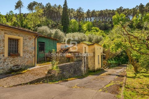 Villa i Lucca, Lucca, Lucca - € 445.000 | Ref: CBI129-1788-130538 - foto 6