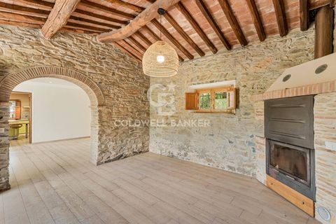 Villa i Lucca, Lucca, Lucca - € 445.000 | Ref: CBI129-1788-130538 - foto 7