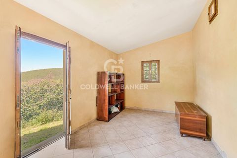 Villa i Lucca, Lucca, Lucca - € 445.000 | Ref: CBI129-1788-130538 - foto 30