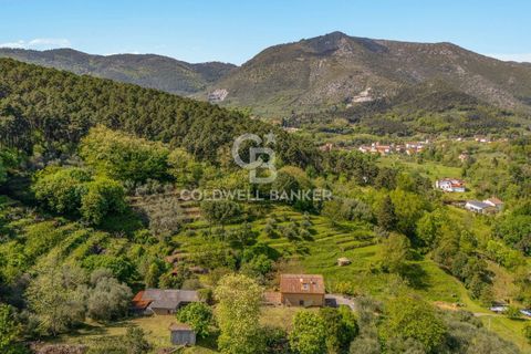 Villa i Lucca, Lucca, Lucca - € 445.000 | Ref: CBI129-1788-130538 - foto 32