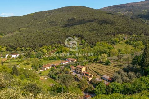 Villa i Lucca, Lucca, Lucca - € 445.000 | Ref: CBI129-1788-130538 - foto 33