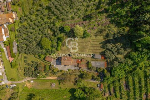 Villa i Lucca, Lucca, Lucca - € 445.000 | Ref: CBI129-1788-130538 - foto 34
