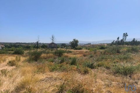 Helårsgrund i Seia, Guarda, Seia - € 57.000 | Ref: 146774 - foto 7