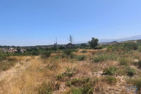 Helårsgrund i Seia, Guarda, Seia - € 57.000 | Ref: 146774 - foto 10