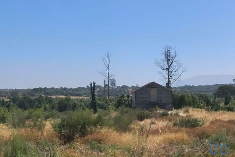 Helårsgrund i Seia, Guarda, Seia - € 57.000 | Ref: 146774 - foto 13