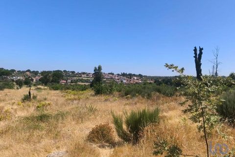 Helårsgrund i Seia, Guarda, Seia - € 57.000 | Ref: 146774 - foto 14