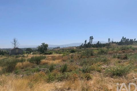 Helårsgrund i Seia, Guarda, Seia - € 57.000 | Ref: 146774 - foto 18