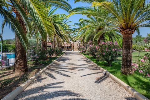 Landejendom i Binissalem, Mallorca, Binissalem - € 3.900.000 | Ref: 1870 - foto 15