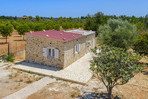 Landejendom i Binissalem, Mallorca, Binissalem - € 3.900.000 | Ref: 1870 - foto 19