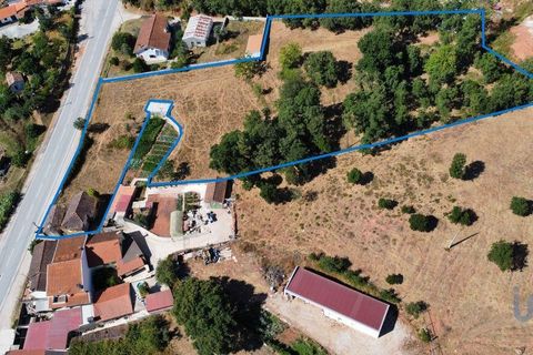 Byhus i Penela, Coimbra, Penela - € 73.000 | Ref: 146734 - foto 4