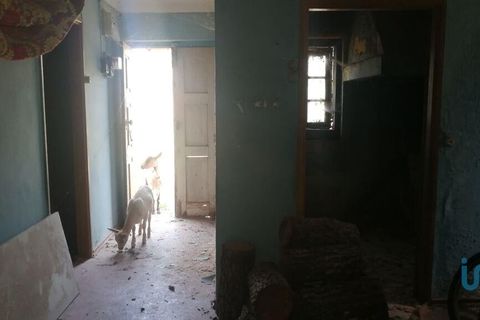 Byhus i Penela, Coimbra, Penela - € 73.000 | Ref: 146734 - foto 13
