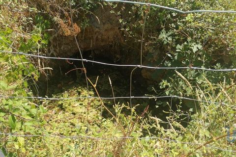 Byhus i Penela, Coimbra, Penela - € 73.000 | Ref: 146734 - foto 14