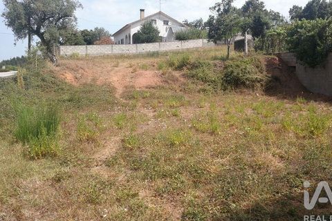 Byhus i Penela, Coimbra, Penela - € 73.000 | Ref: 146734 - foto 25