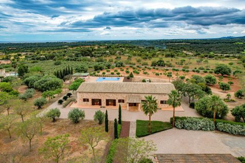 Landejendom i Manacor, Mallorca, Manacor - € 2.925.000 | Ref: 2334T - foto 16