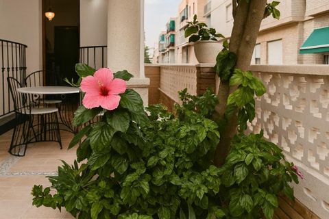 Villa i Lo Pagan, Murcia, Lo Pagan - € 320.000 | Ref: sanpedromarccr/5750 - foto 40