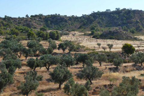 Finca i Caspe, Zaragoza, Caspe - € 67.000 | Ref: 1078 - foto 39