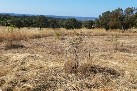 Finca i Caspe, Zaragoza, Caspe - € 67.000 | Ref: 1078 - foto 33