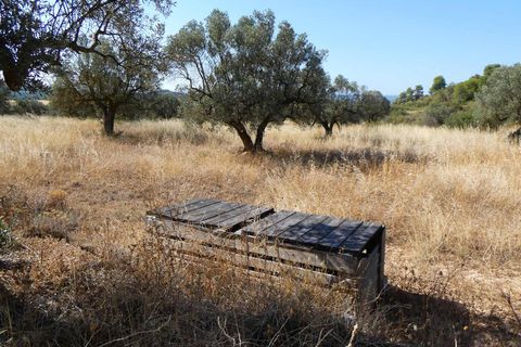 Finca i Caspe, Zaragoza, Caspe - € 67.000 | Ref: 1078 - foto 47