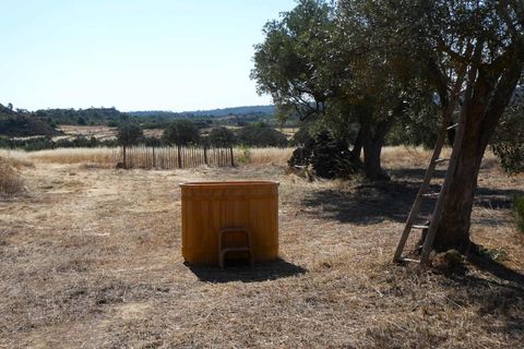 Finca i Caspe, Zaragoza, Caspe - € 67.000 | Ref: 1078 - foto 49