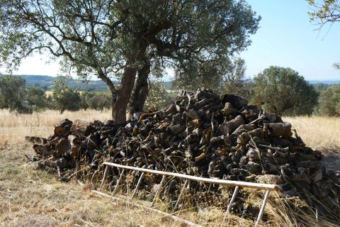 Finca i Caspe, Zaragoza, Caspe - € 67.000 | Ref: 1078 - foto 31