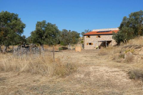 Finca i Caspe, Zaragoza, Caspe - € 67.000 | Ref: 1078 - foto 34