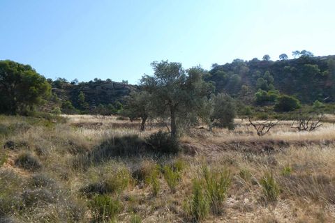 Finca i Caspe, Zaragoza, Caspe - € 67.000 | Ref: 1078 - foto 36