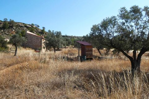 Finca i Caspe, Zaragoza, Caspe - € 67.000 | Ref: 1078 - foto 43