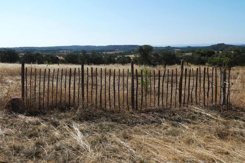 Finca i Caspe, Zaragoza, Caspe - € 67.000 | Ref: 1078 - foto 32