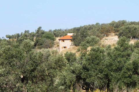 Finca i Caspe, Zaragoza, Caspe - € 67.000 | Ref: 1078 - foto 38