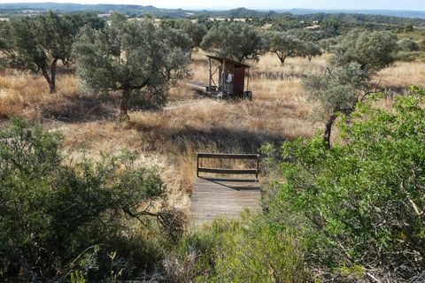 Finca i Caspe, Zaragoza, Caspe - € 67.000 | Ref: 1078 - foto 6
