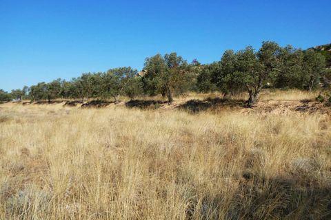 Finca i Caspe, Zaragoza, Caspe - € 67.000 | Ref: 1078 - foto 7