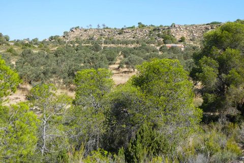 Finca i Caspe, Zaragoza, Caspe - € 67.000 | Ref: 1078 - foto 40