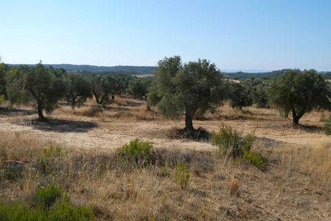 Finca i Caspe, Zaragoza, Caspe - € 67.000 | Ref: 1078 - foto 35