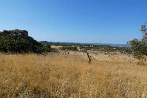 Finca i Caspe, Zaragoza, Caspe - € 67.000 | Ref: 1078 - foto 37