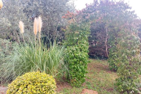 Villa i Castelnau-le-Lez, Herault, Castelnau-le-Lez - € 625.000 | Ref: V90004336 - foto 6