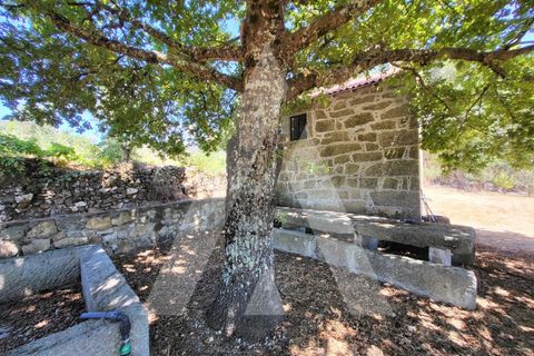 Farm i Penalva do Castelo, Viseu, Penalva do Castelo - € 220.000 | Ref: 1180570/25VS - foto 2