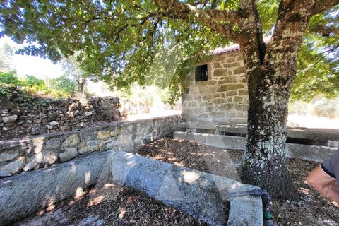Farm i Penalva do Castelo, Viseu, Penalva do Castelo - € 220.000 | Ref: 1180570/25VS - foto 3