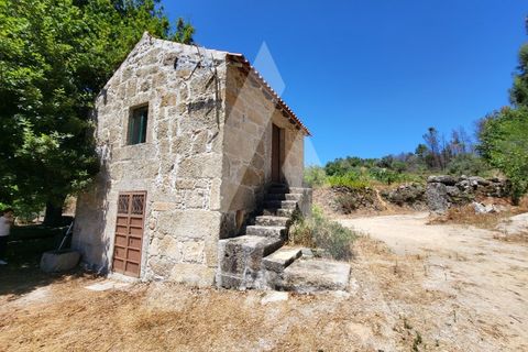 Farm i Penalva do Castelo, Viseu, Penalva do Castelo - € 220.000 | Ref: 1180570/25VS - foto 4