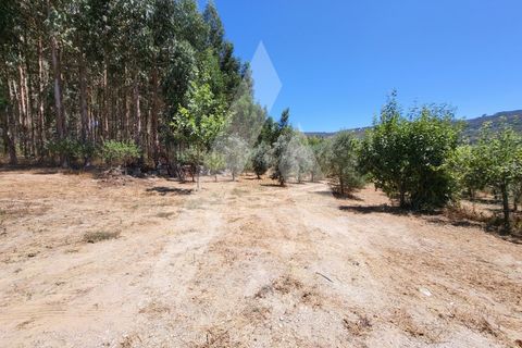Farm i Penalva do Castelo, Viseu, Penalva do Castelo - € 220.000 | Ref: 1180570/25VS - foto 5