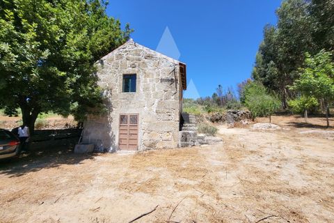 Farm i Penalva do Castelo, Viseu, Penalva do Castelo - € 220.000 | Ref: 1180570/25VS - foto 6