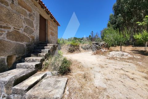 Farm i Penalva do Castelo, Viseu, Penalva do Castelo - € 220.000 | Ref: 1180570/25VS - foto 9
