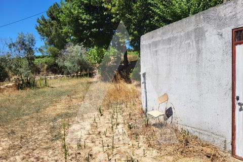 Farm i Penalva do Castelo, Viseu, Penalva do Castelo - € 220.000 | Ref: 1180570/25VS - foto 16
